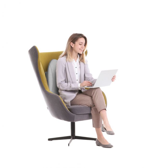 Поддержка спины с подогревом Back Support Cushion + Heat